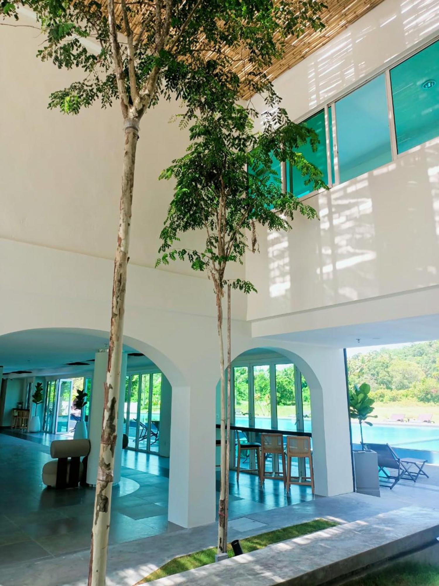 The Bayou Hotel Langkawi Pantai Cenang  Exterior foto